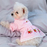 KUTKUT Summer Cute Skirt Strawberry Stripe Small Dog Dress | Dress for Shish Tzu, King Charles, Pug & Other Similar Kind Small Breed Dogs - kutkutstyle